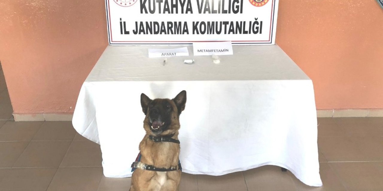Narkotik Köpeği Mola Göz Açtırmadı