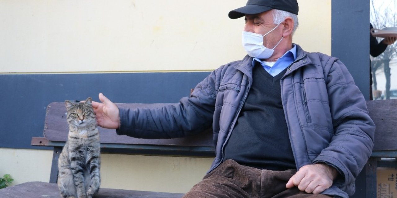 Patisinden Sakatlanan Kediye Taksiciler Sahip Çıktı