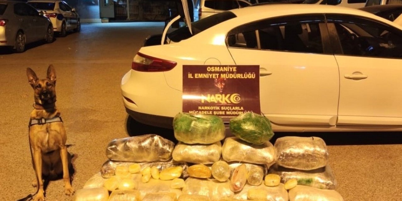 Osmaniye’de Narkotik Operasyonlarına 225 Tutuklama
