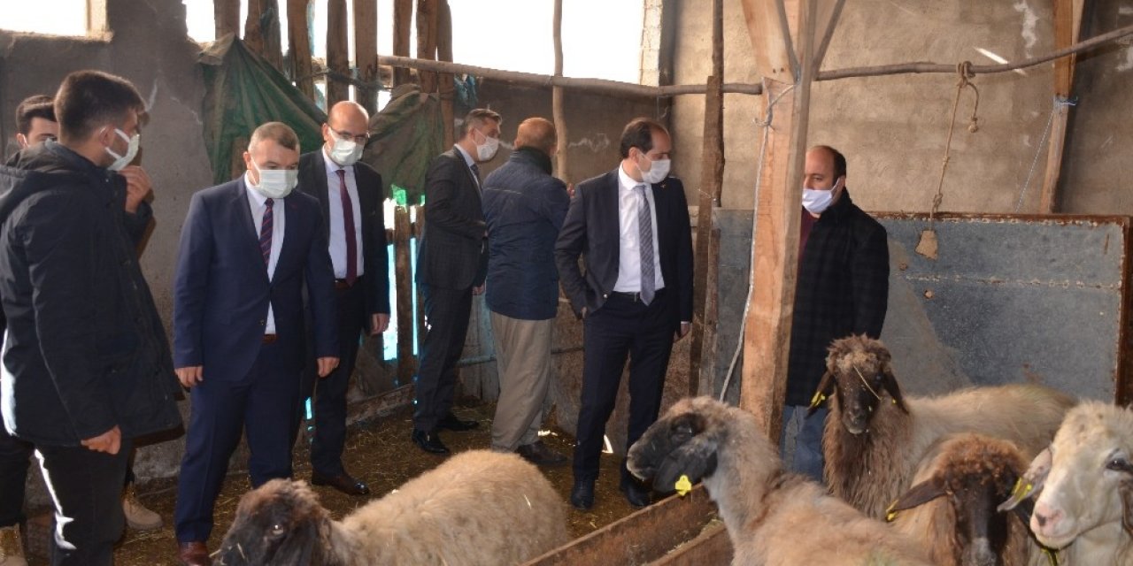 Şırnak’ta Eski Hükümlüler Kendi İşlerinin Patronu Oldu