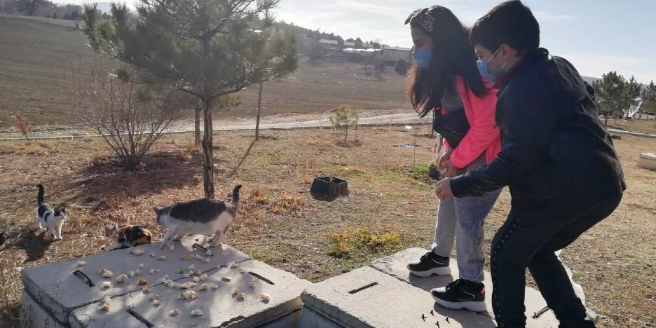 Anadolu Lisesi’nde “sokak Hayvanlarını Besliyorum” Projesi