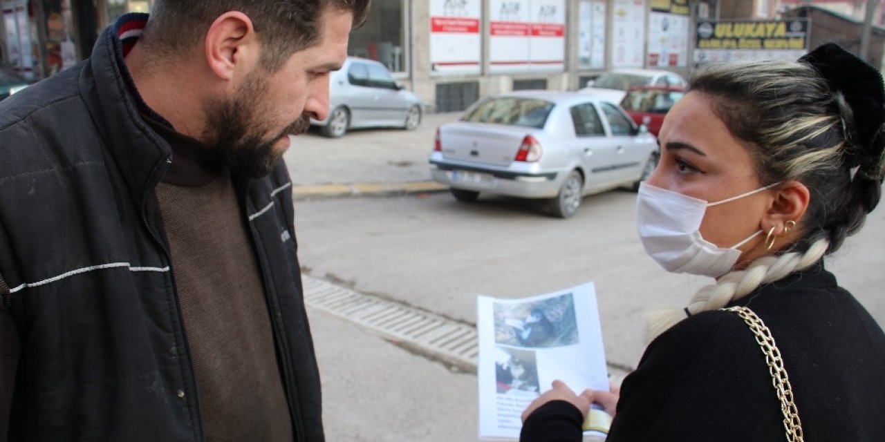 Ebru Öğretmen Kayıp Kedisini Sokak Sokak Arıyor