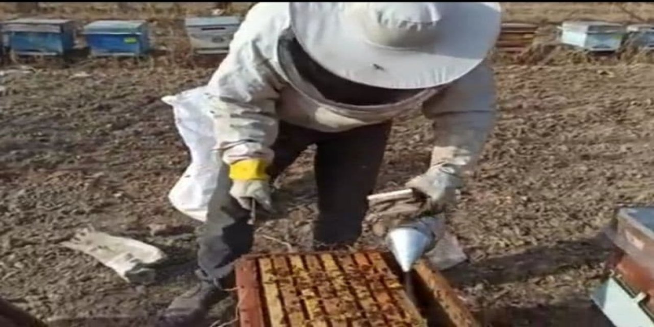 Hava Sıcaklıkları Bal Üreticilerini Endişelendirdi