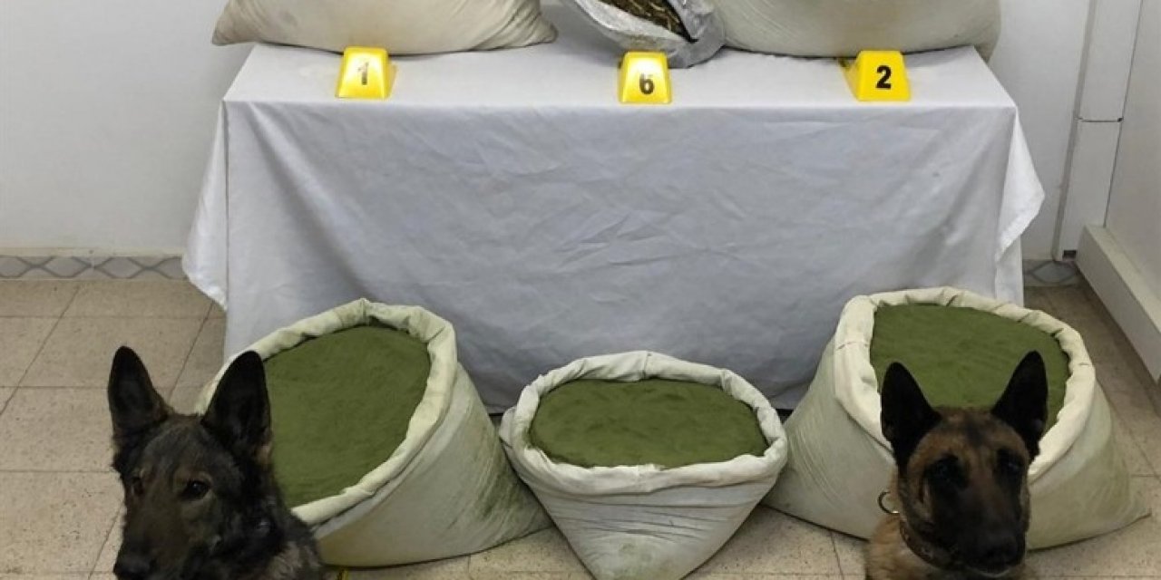 Bingöl’de 117 Kilogram Esrar Ele Geçirildi