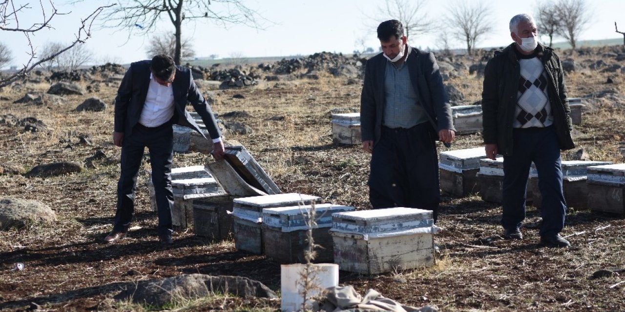 Bal Fiyatlarındaki Artış Arıcıların Yüzünü Güldürdü