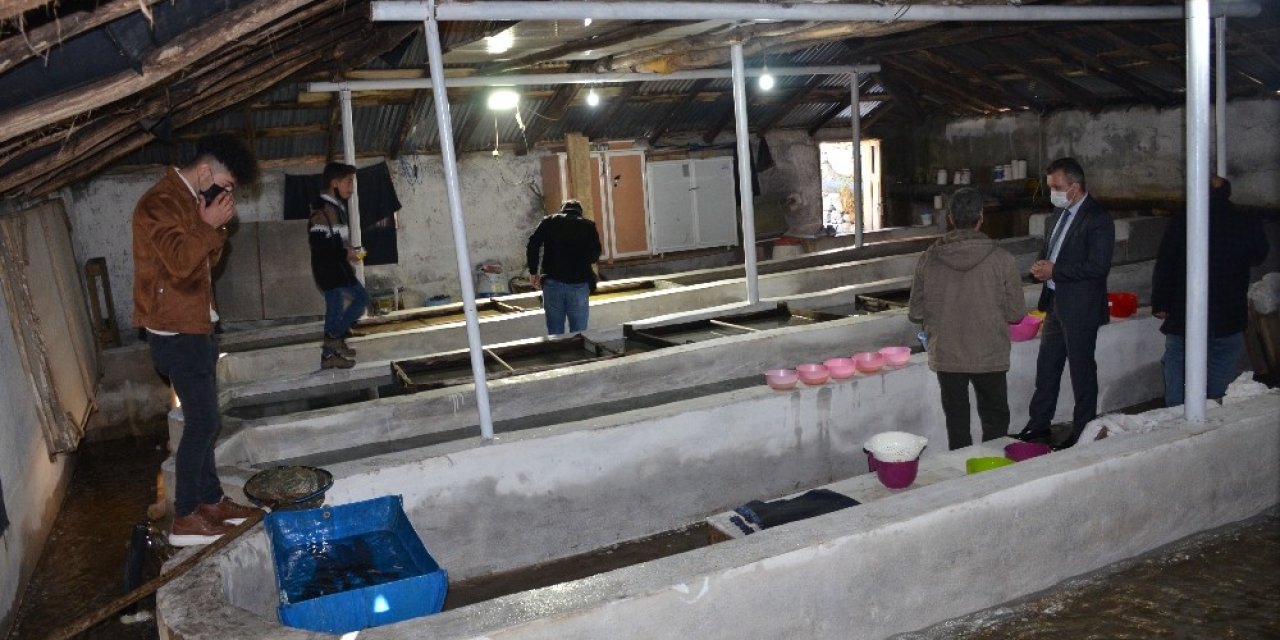 Şırnak’taki Tek Balık Tesisi 5 Aileye Ekmek Kapısı Oldu