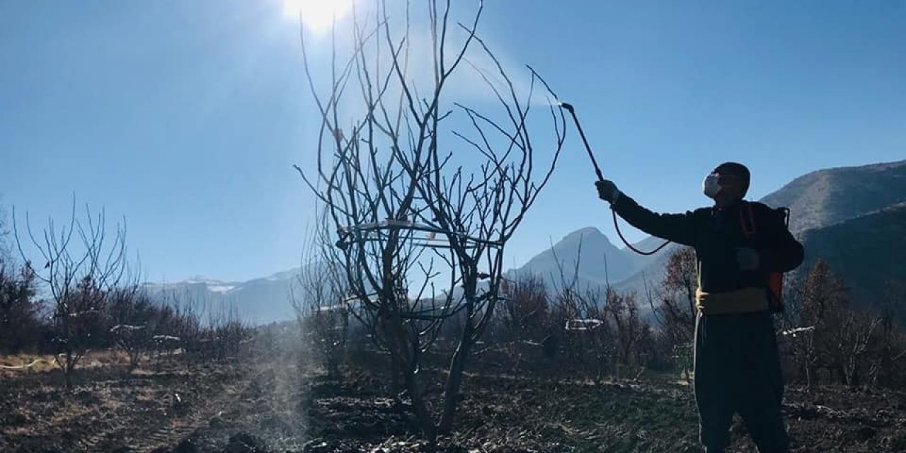 Uludere’de Çiftçiye Bordo Bulamacı Eğitimi