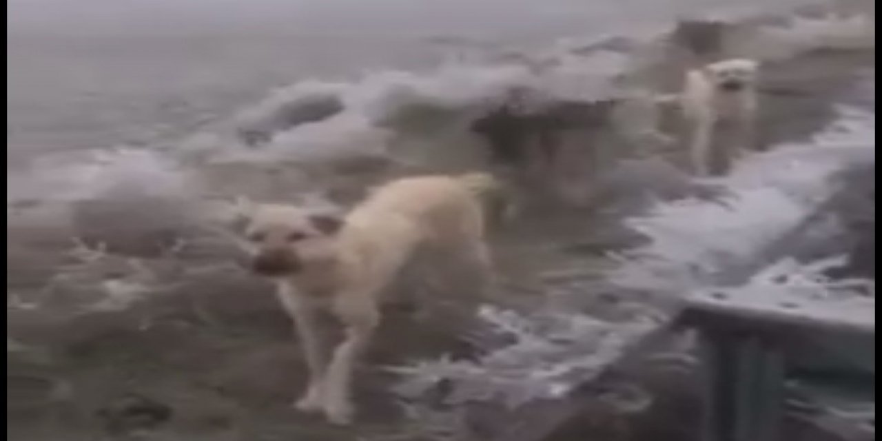 Sağlık Çalışanlarından Örnek Davranış
