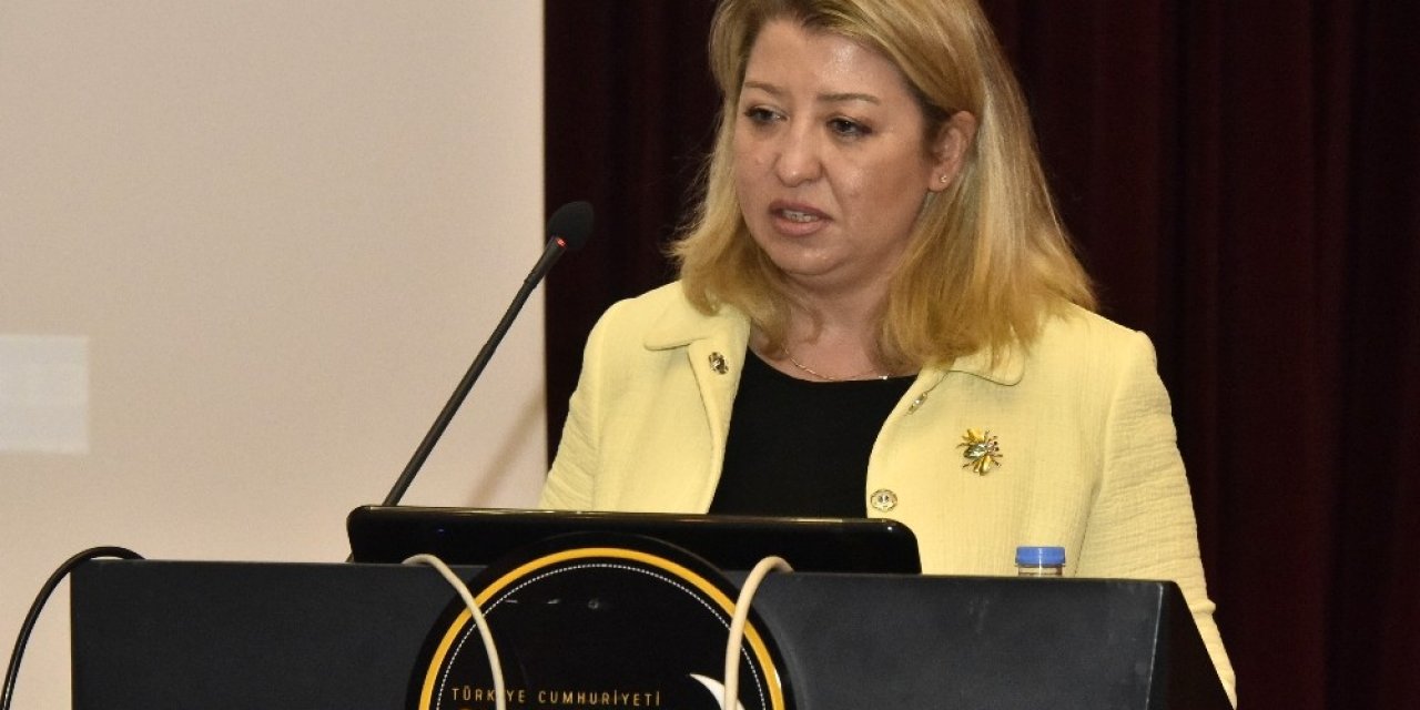 Türkiye’nin 81 İli 5 Duyu Organına Göre Dünyaya Anlatılacak