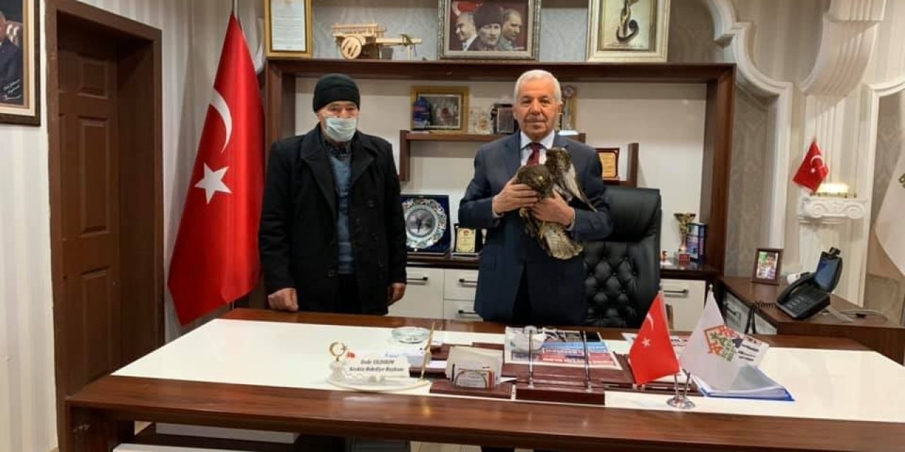 Yaralı Şahin Tedavi Altına Alındı