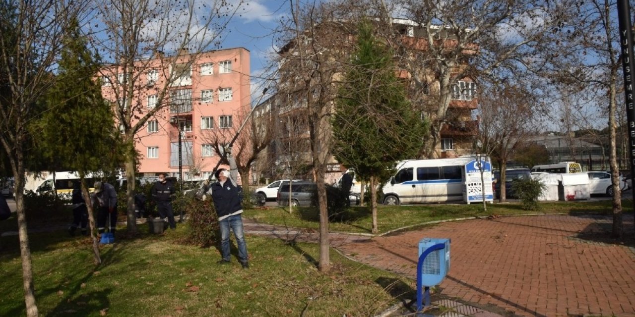 Budanan Ağaçlar İhtiyaç Sahiplerine Odun Oluyor
