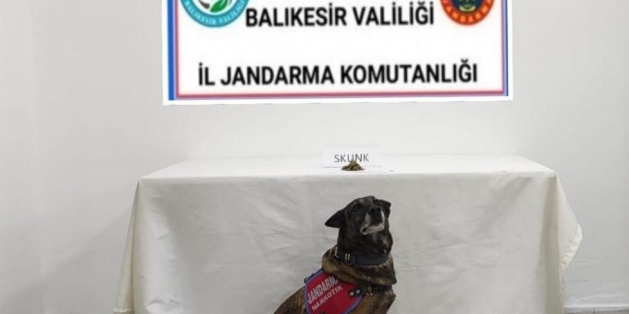 Edremit’te Uyuşturucu Operasyonu