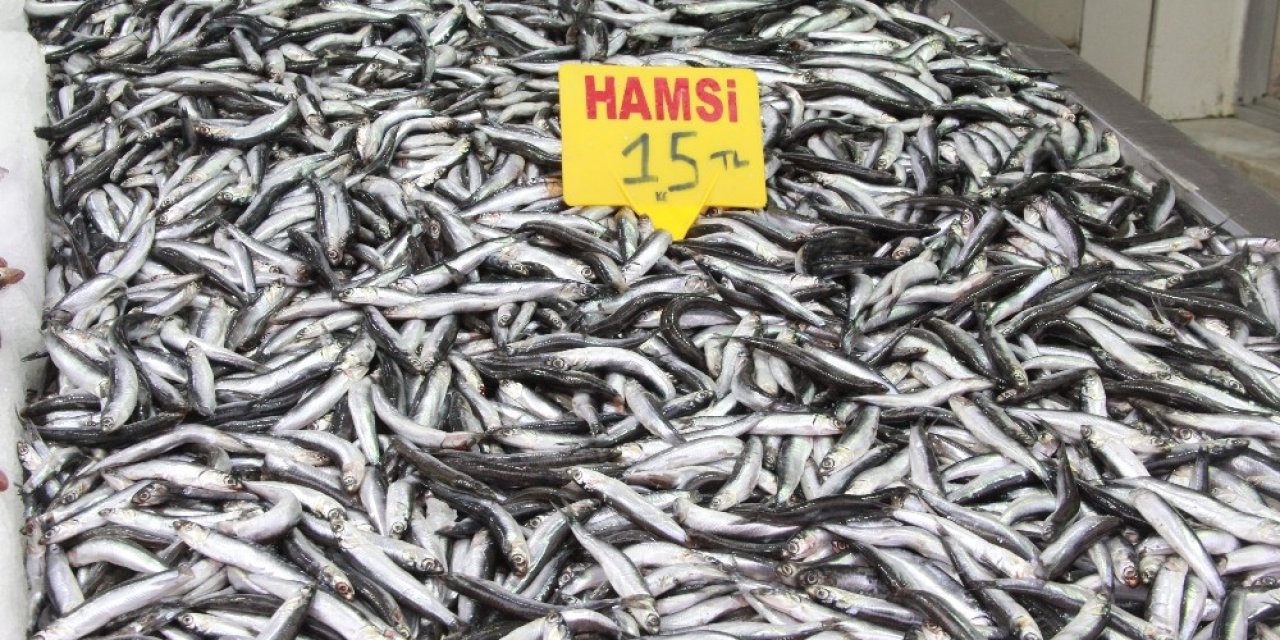 Hamsi Yasağına ’buzhane’ Çözümü