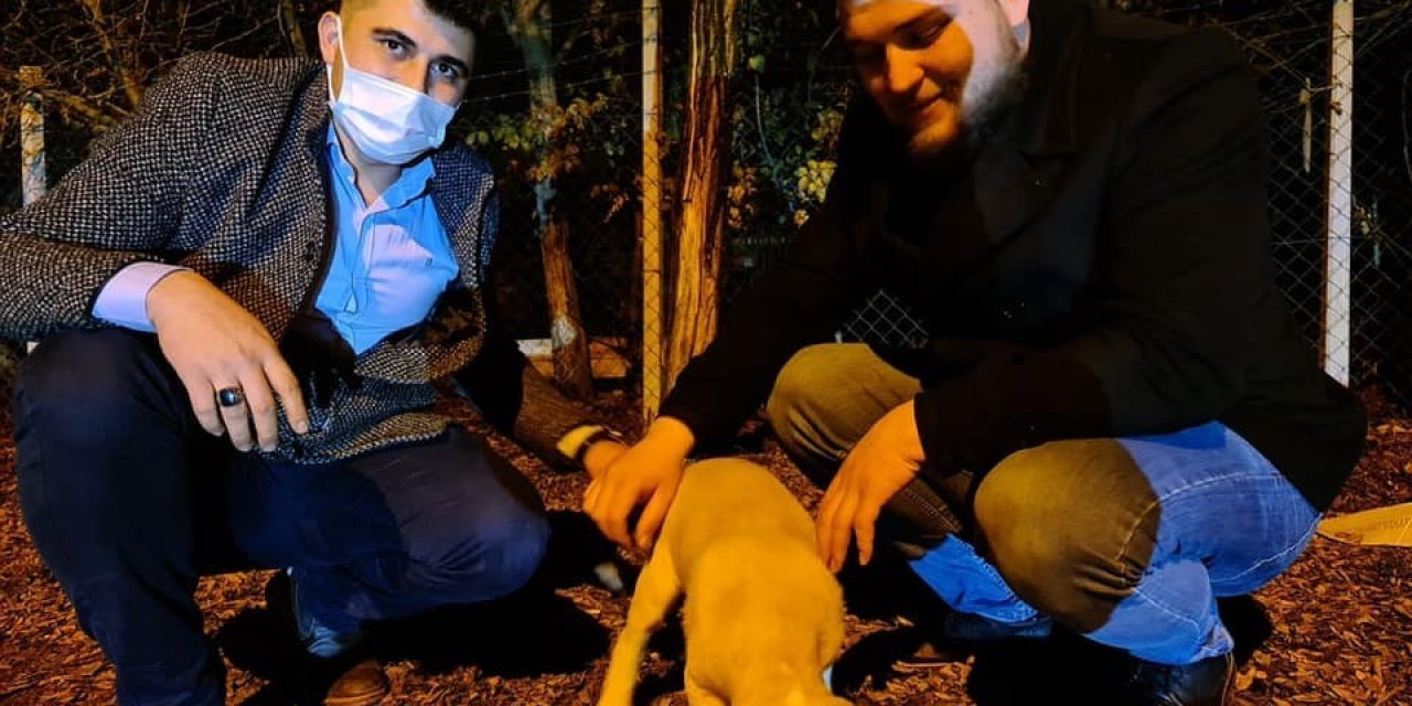 Osmancık’ta Sokak Hayvanları İçin Kampanya Başlatıldı