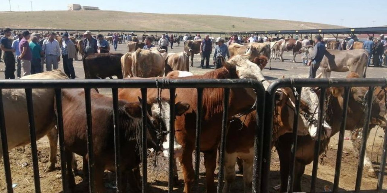 Bayburt’ta Covid-19 Tedbirleri Kapsamında Faaliyeti Durdurulan Hayvan Pazarı Açılıyor