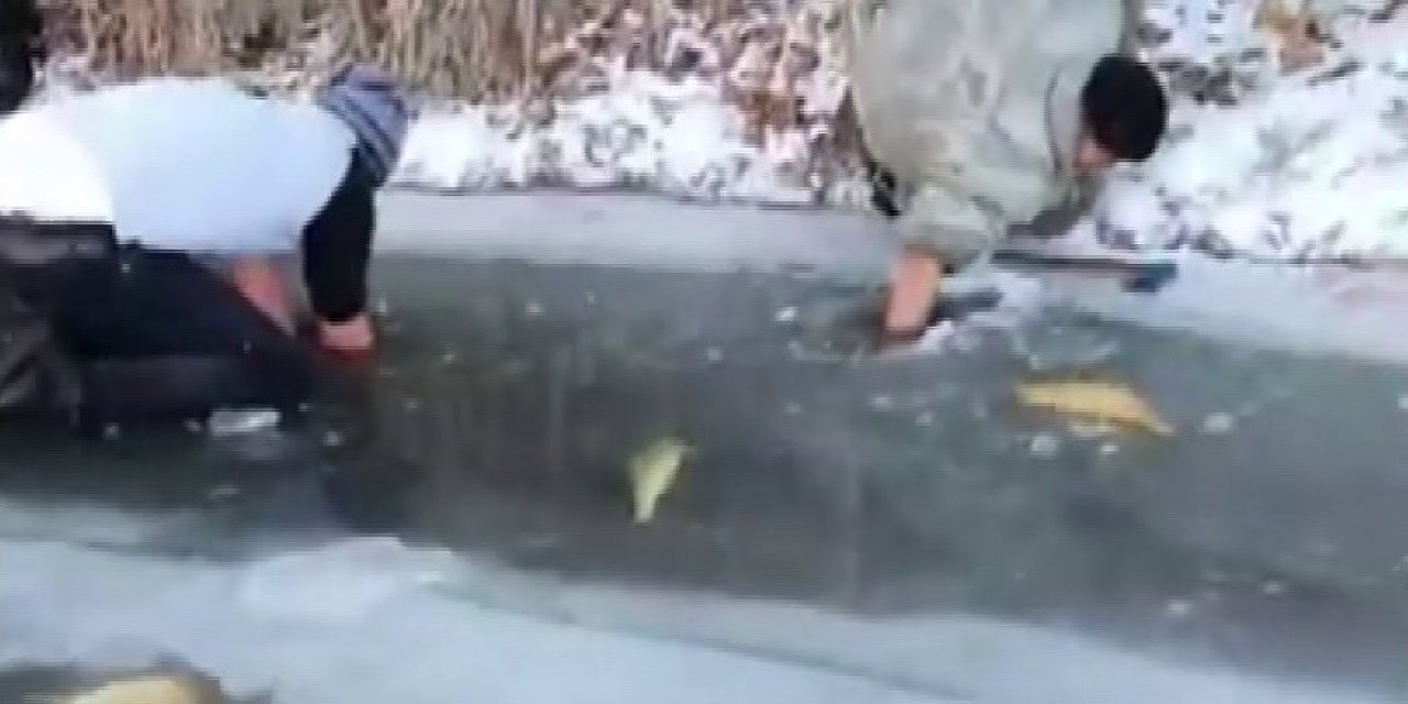 Buz Tutan Nehirde Elleriyle Balık Avladılar