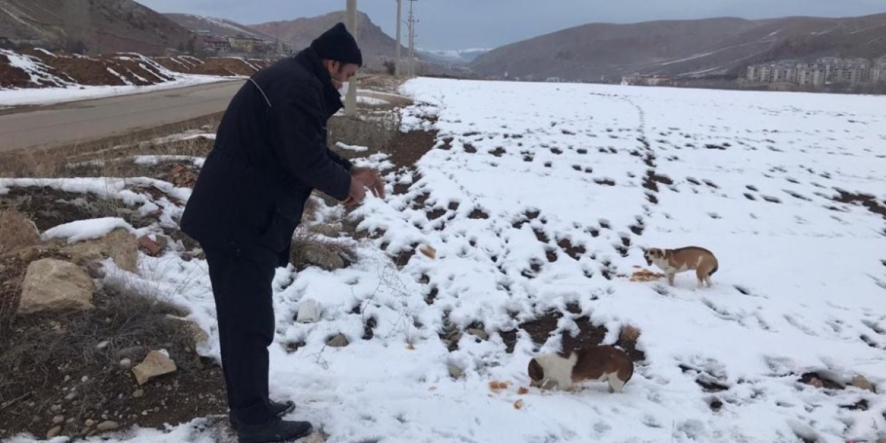 Bayburt’ta Sokak Hayvanları İçin Yiyecek Bırakıldı