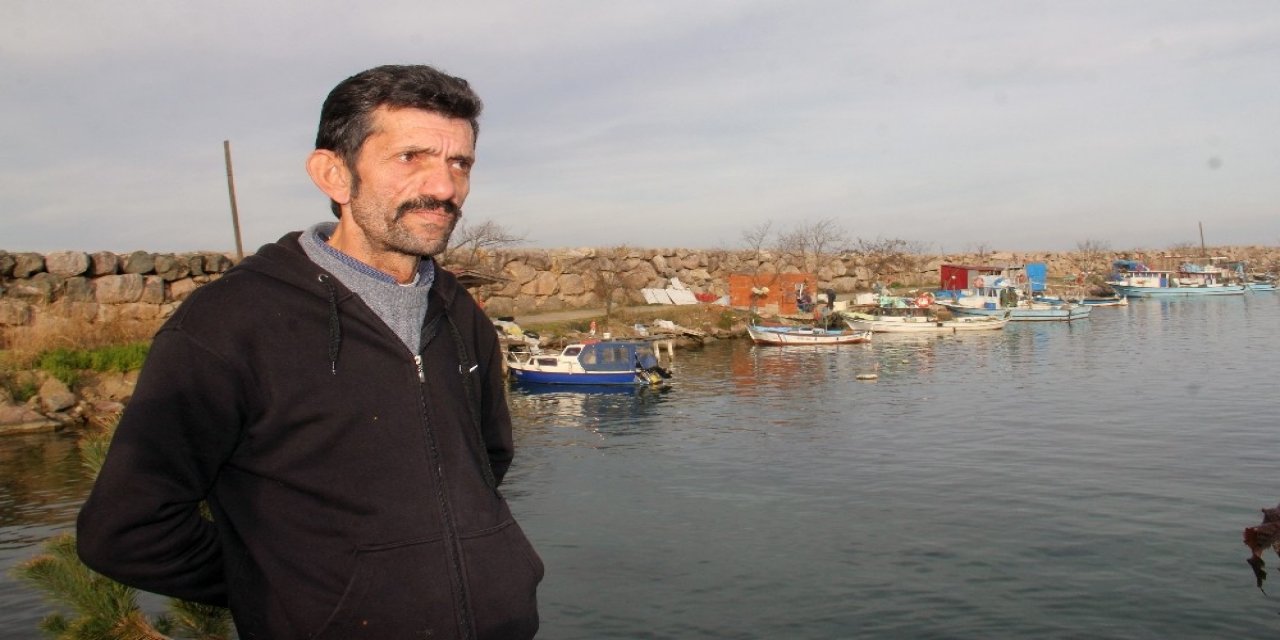 Hamsinin Geleceği Tehlikede