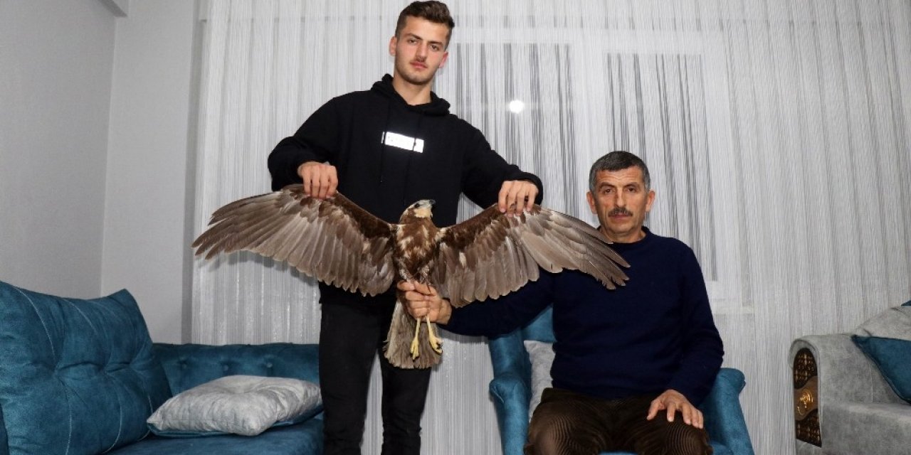 Uçmakta Zorlanan Doğana Hayvan Sever Sahip Çıktı