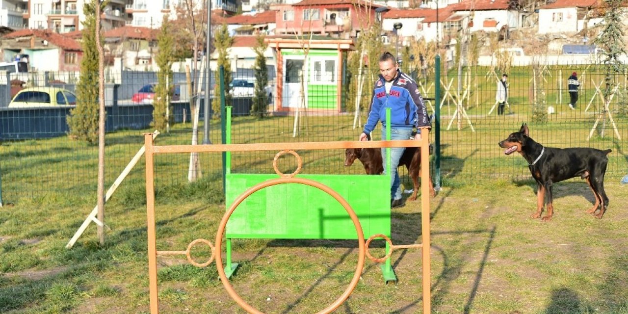 Mamak Belediyesinden ‘köpek Parkı’