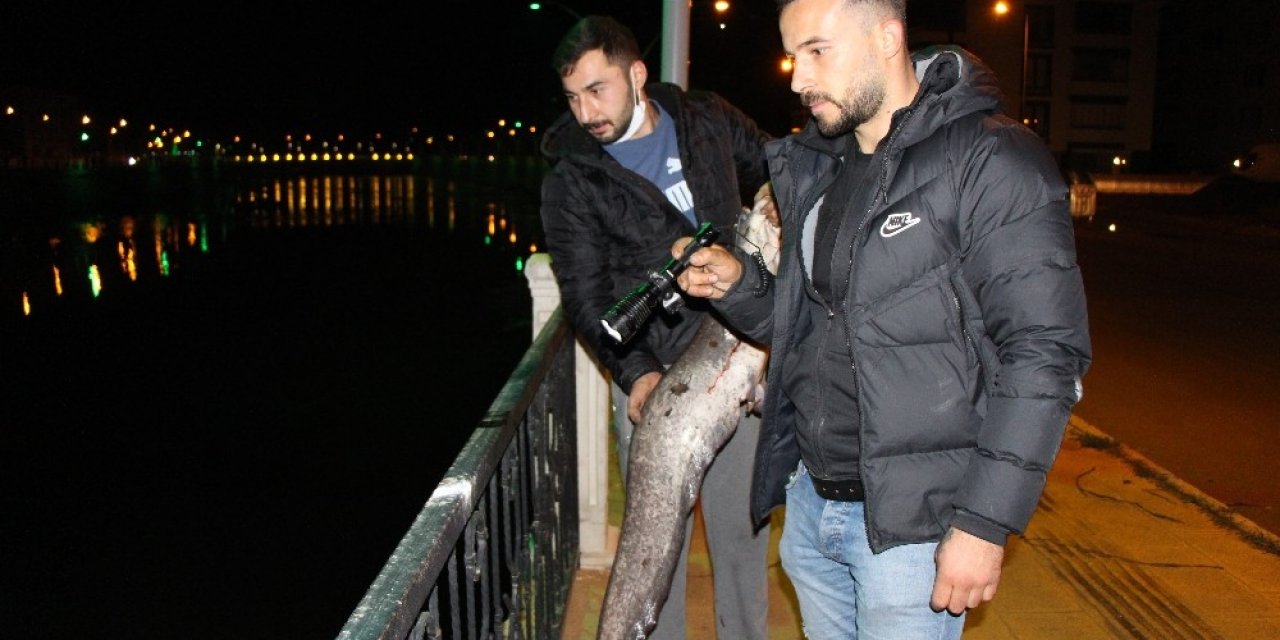 Polis ‘zehirli Olabilir’ Diye Uyardı Ama Onlar Fenerle Aydınlatıp Balık Tuttu