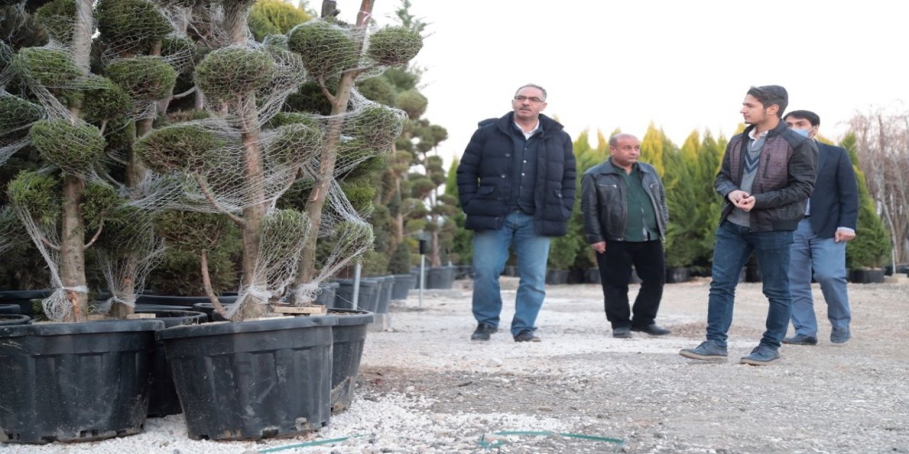 Eyyübiye’de Yeni Parklara Yeni Fidanlar