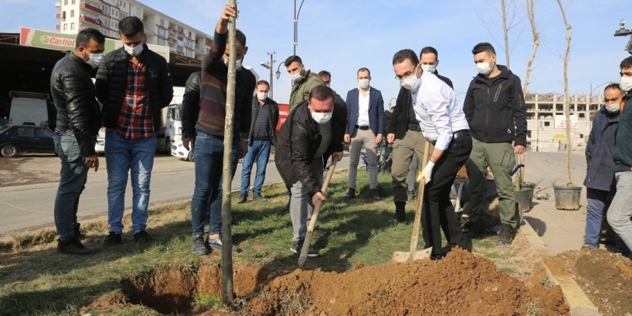 Cizre’de Daha Yeşil Bir Çevre İçin Çalışmalar Sürüyor