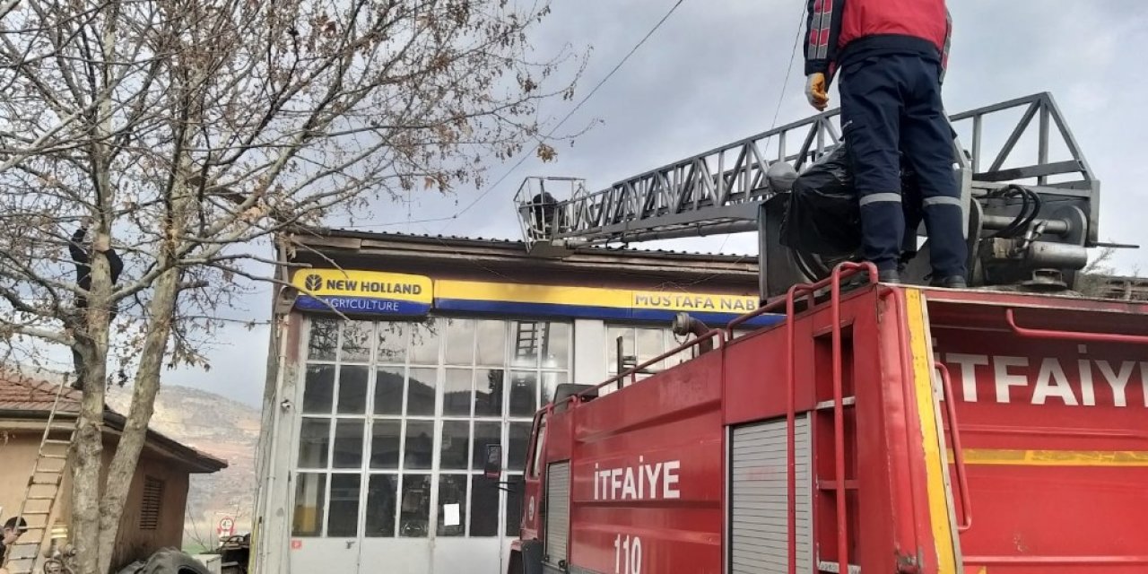 Çatıda Mahsur Kalan Kediyi İtfaiye Ekipleri Kurtardı