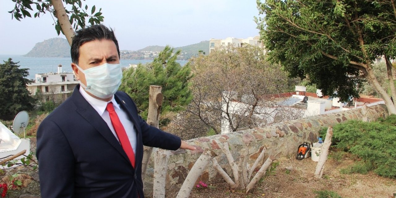 Bodrum’da Şehit Pilot Anısına Dikilen Ağaçları Kestiler