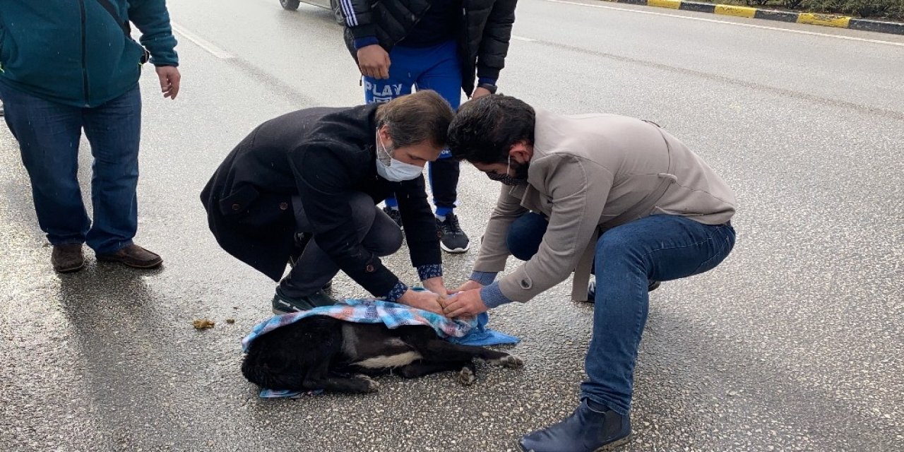 Yaptığıyla "insanlık Ölmemiş" Dedirtti