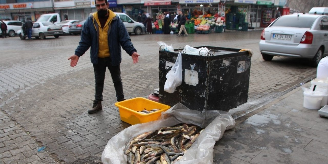 Murat Nehri’nde Balık Bolluğu