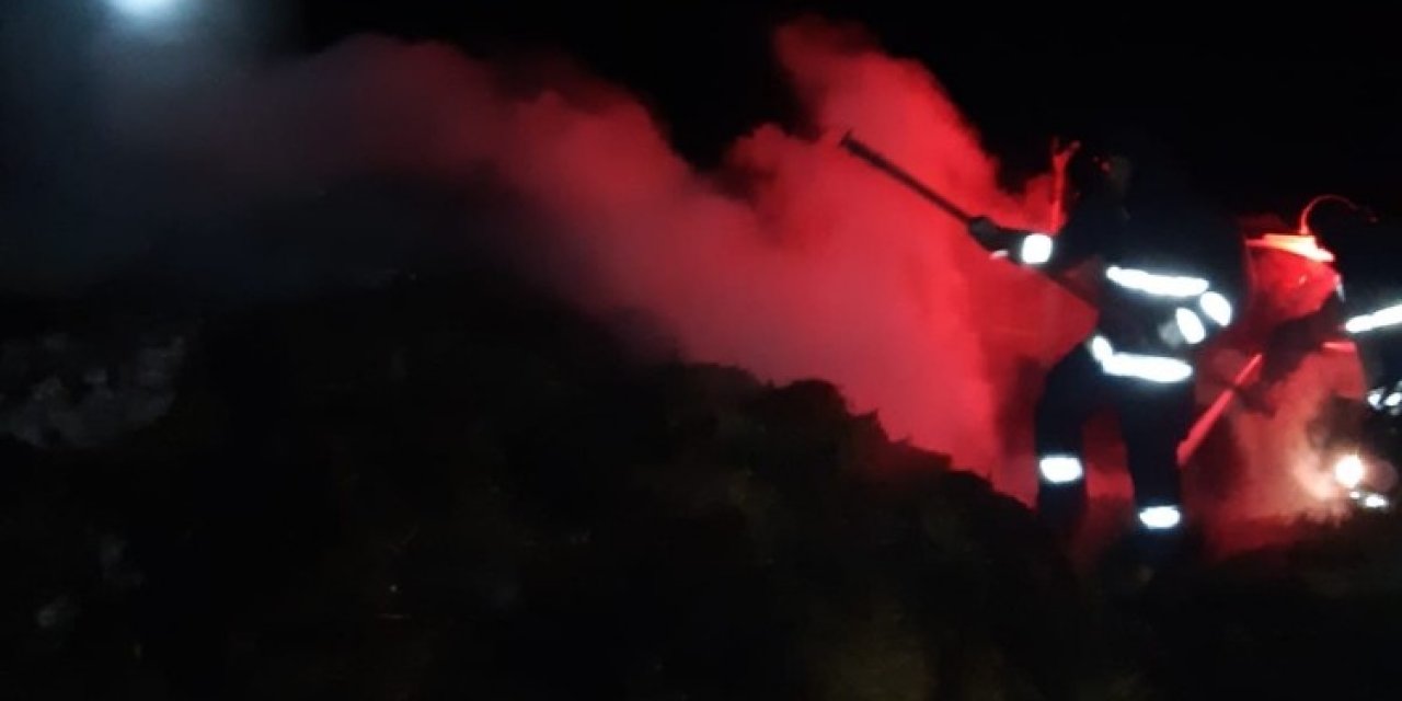 Muradiye’de 200 Balya Ot Yandı