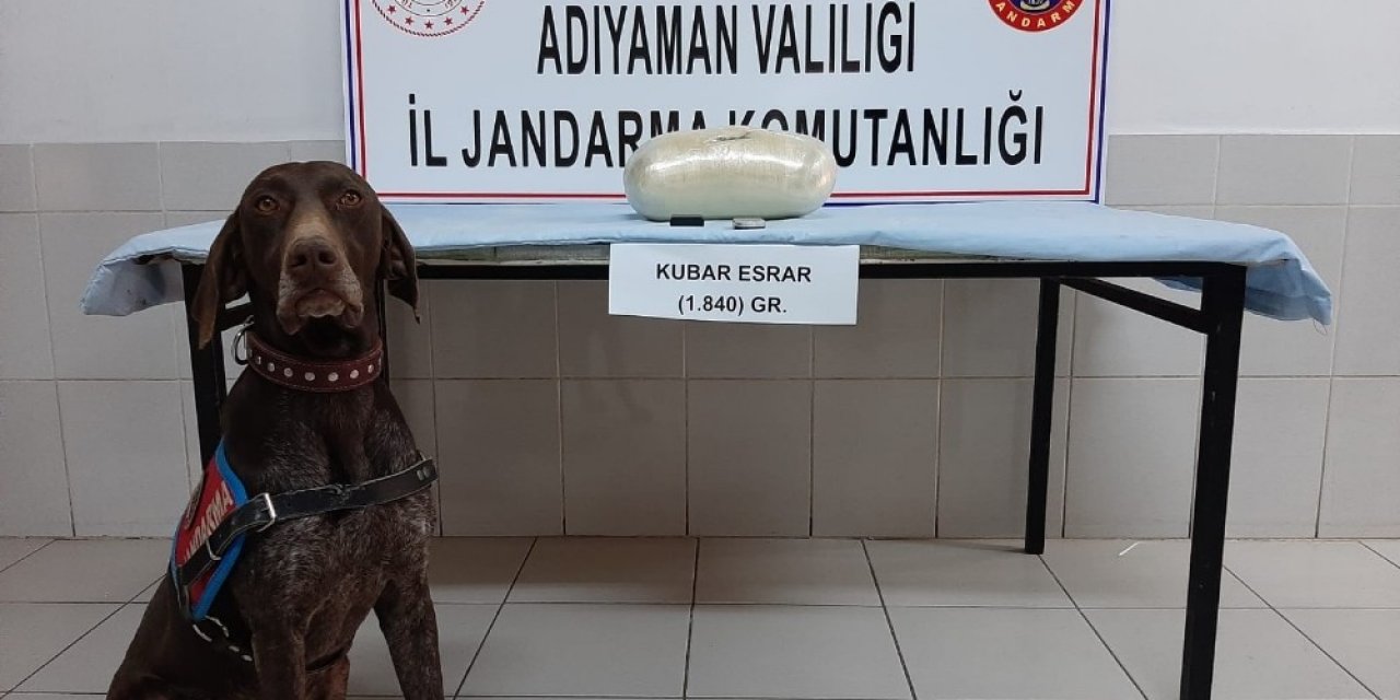 Otobüsteki Uyuşturucuyu ’manken’ Buldu