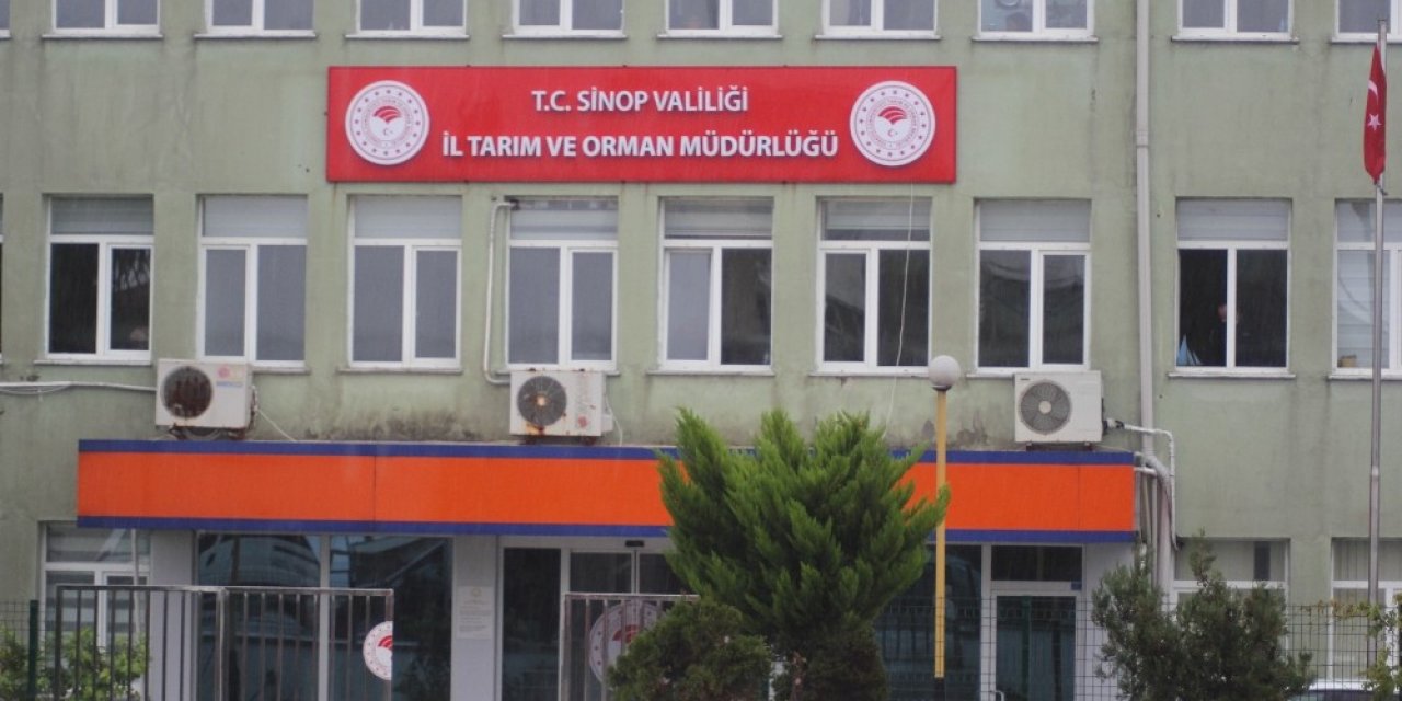 Sinop’da Arıcılık Desteklemesi Başvuruları Devam Ediyor