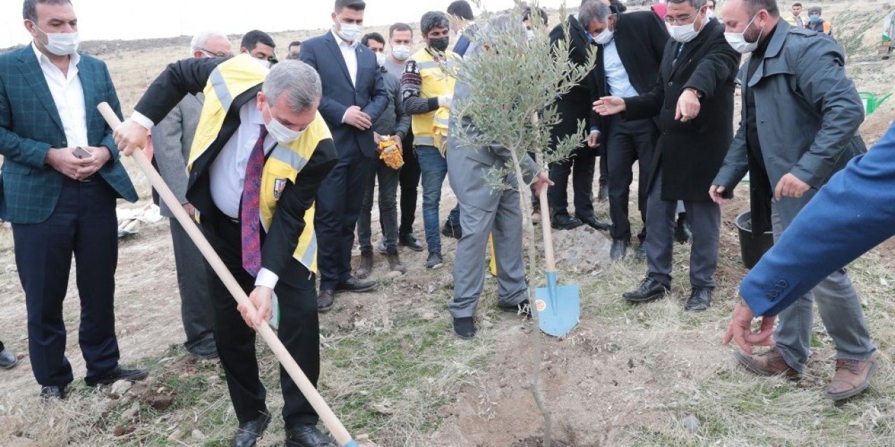 Şanlıurfa’daki Yeni Yerleşim Alanlarında Ağaç Dikim Seferberliği