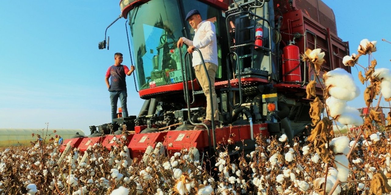 Pamuğun Fiyatı, 1 Lira 20 Kuruşluk Devlet Desteği İle 7 Lira 20 Kuruşa Çıktı.