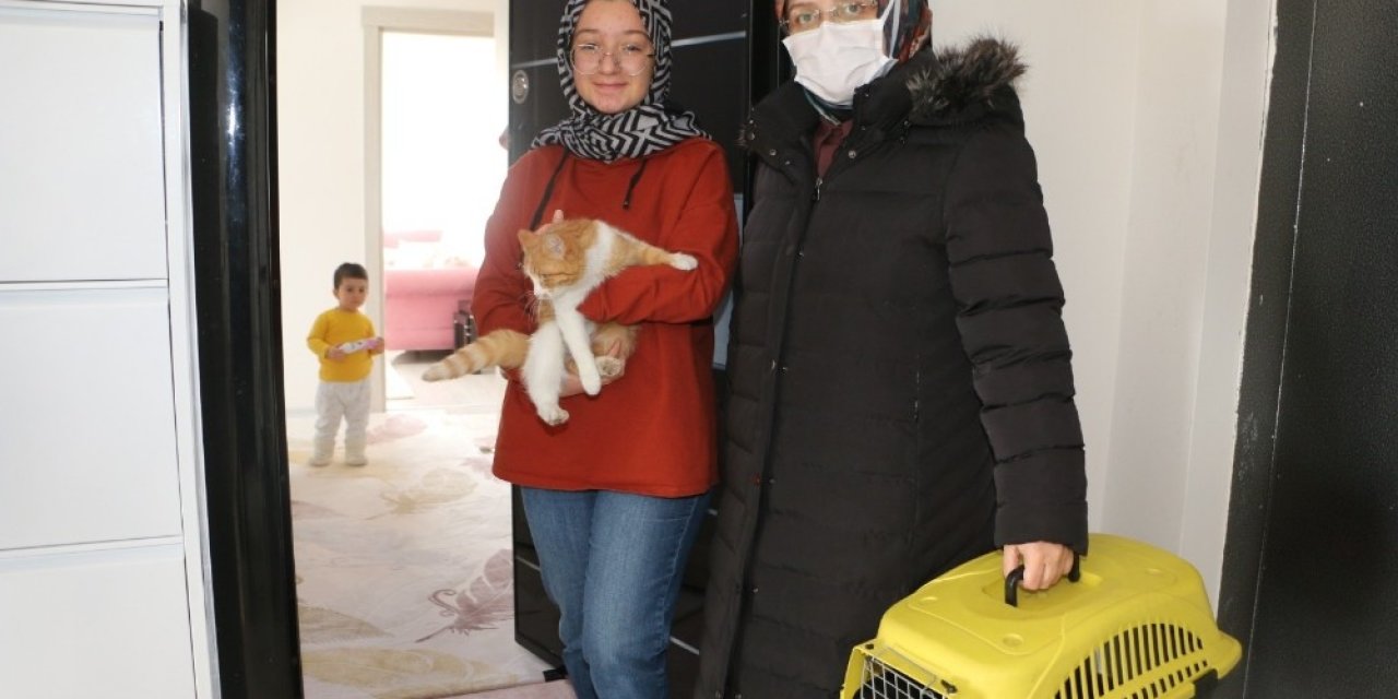 Hayrunnisa’ya Kedi Sürprizi
