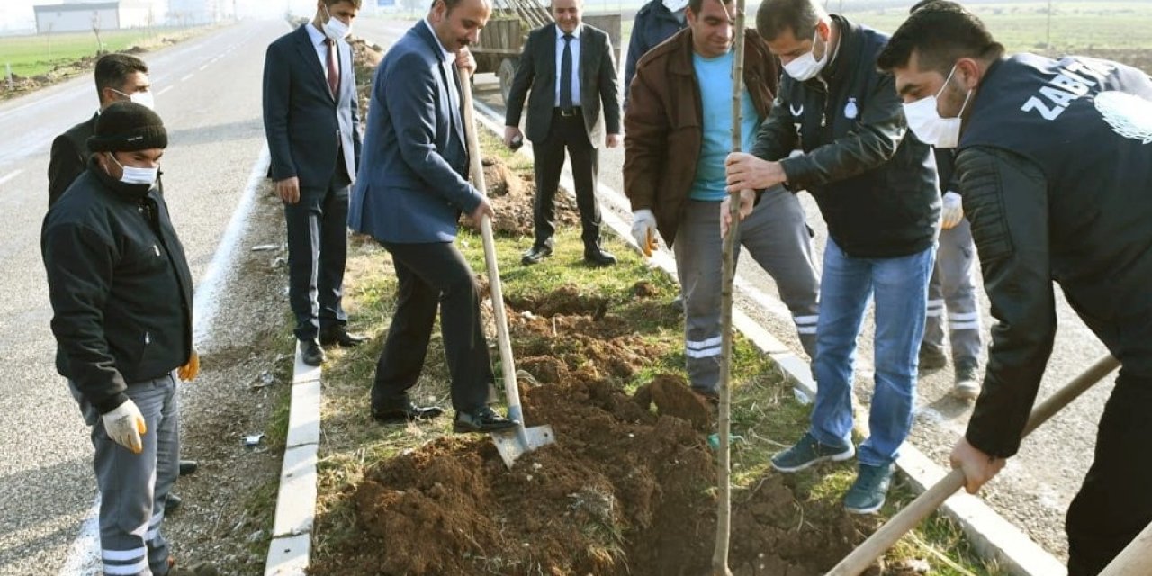 Araban’da Ağaçlandırma Çalışmaları