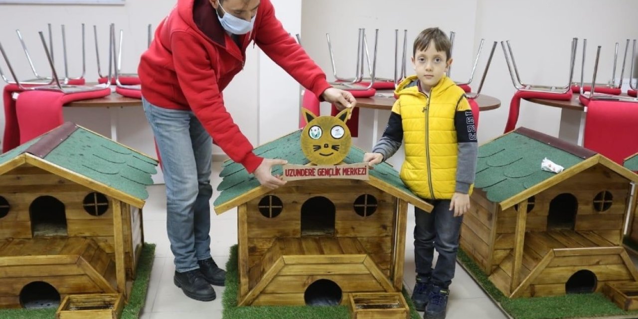 Gönüllüler Sokak Hayvanlarına Ahşaptan Ev Yaptılar