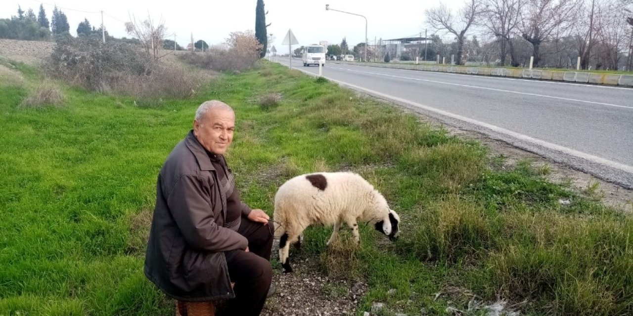 Kuzusu, Gürel Dede’ye Hem Özgürlük Hem De Mutluluk Verdi