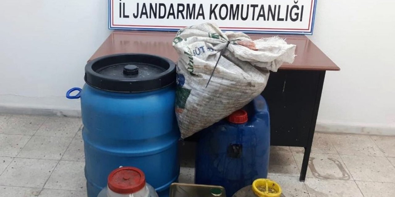 Zeytin Hırsızını Jasat Yakaladı