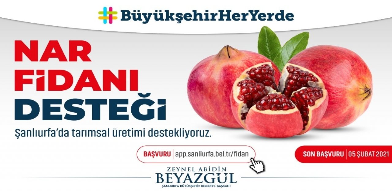 Şanlıurfa’da Üreticiye Nar Desteği