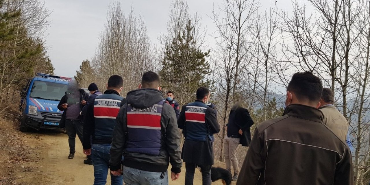 Kastamonu’da Geyik Avcıları Suçüstü Yakalandı