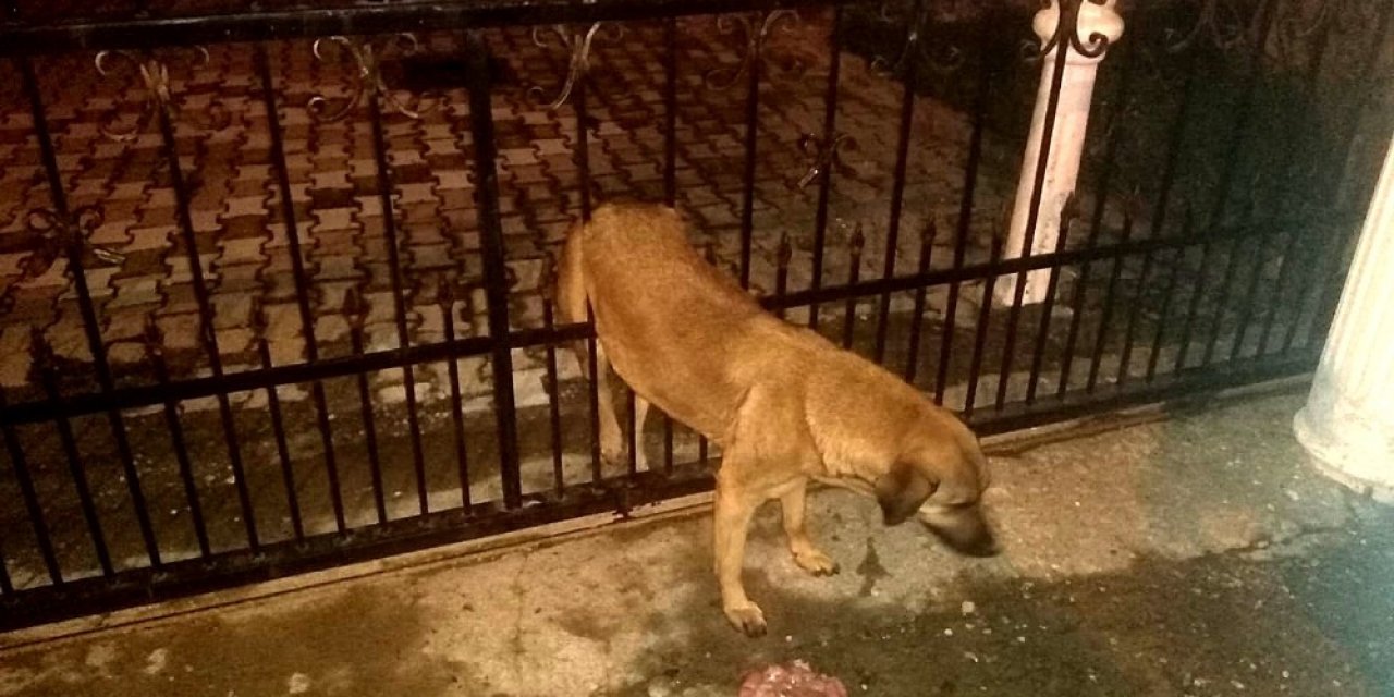 Kapı Korkuluklarından Geçemedi, İtfaiye Kurtardı