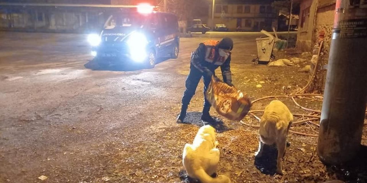 Jandarma Sokak Hayvanlarını Unutmadı