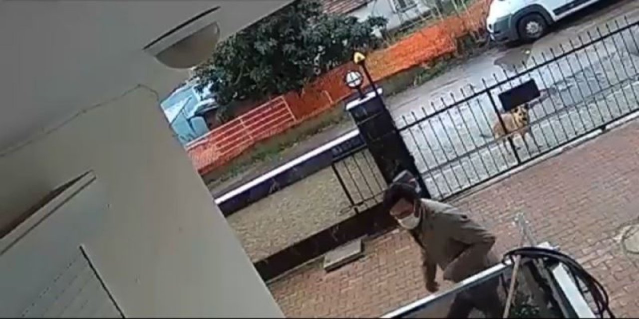 Balkondan Masa Çalan Hırsıza Köpek Bile Baktı Kaldı