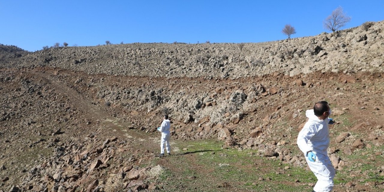 Diyarbakır’da İlk Defa Hayvanlara Kuduz Aşısı Kırsala Bırakıldı