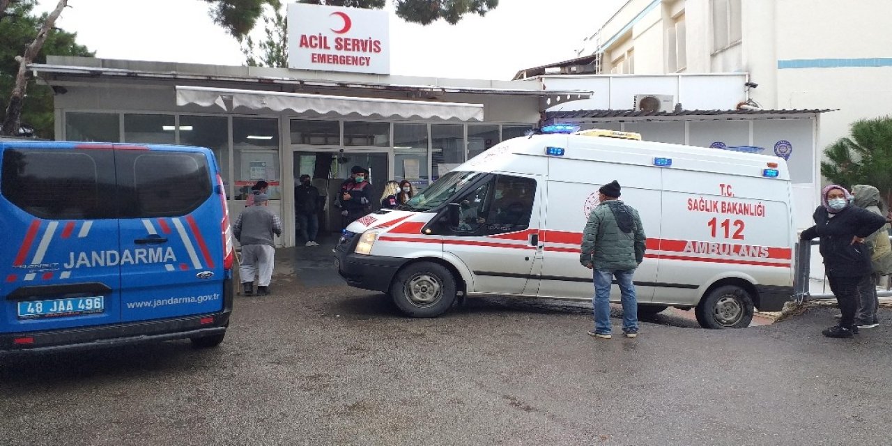 Mantar Toplamaya Gitti, Hayatını Kaybetti