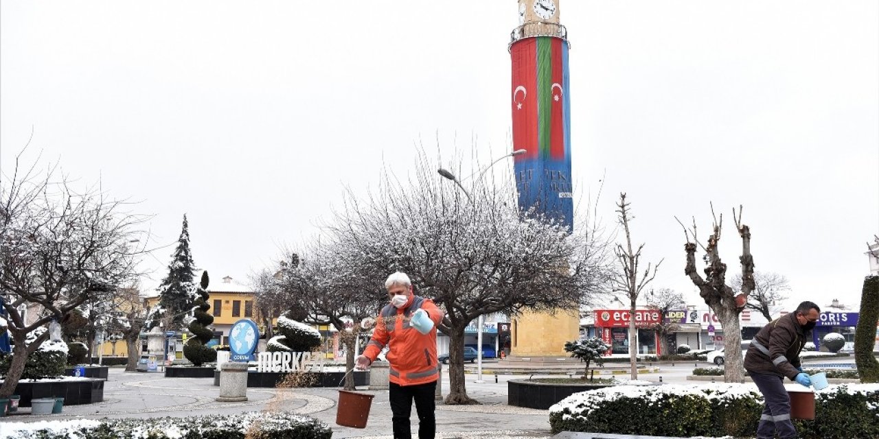 Çorum Belediyesi Sokak Hayvanlarını Unutmadı