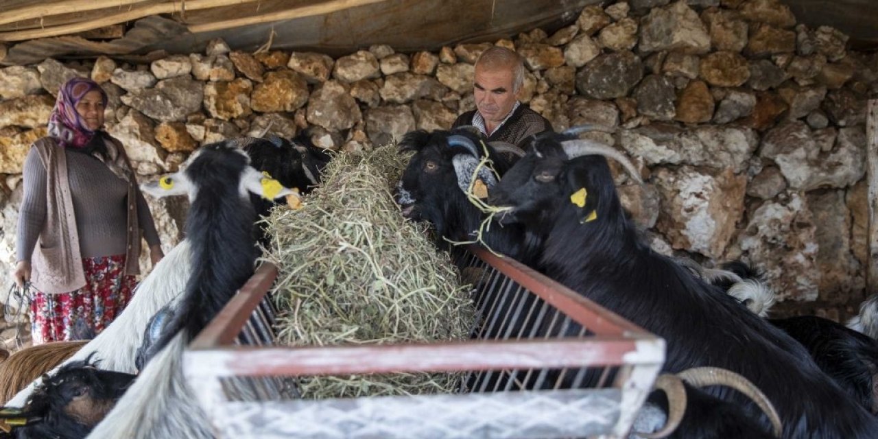 ’haydi Gel Köyümüze Destek Verelim’ Projesi, Yeni Doğumlarla Büyüyor